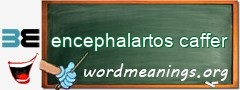 WordMeaning blackboard for encephalartos caffer